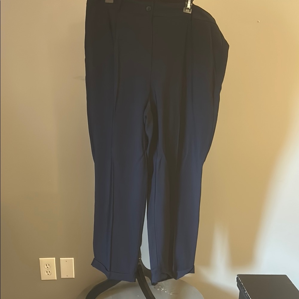 Women’s Loft Navy Blue Pants